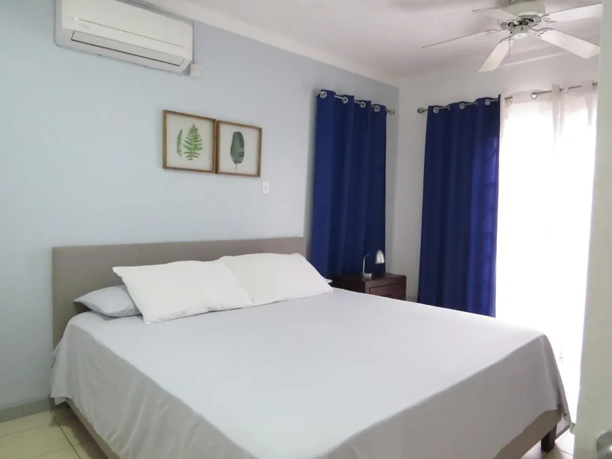 Hidden Gem Apartment Kingston